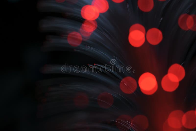 Flaches Tiefe-vonfeld lizenzfreie stockfotografie Flaches Tiefe-vonfeld lizenzfreie stockfotografie