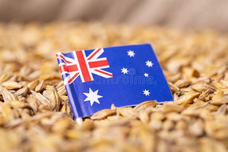 Flag of Australia on Barley Grain Stock Image - Image of country ...