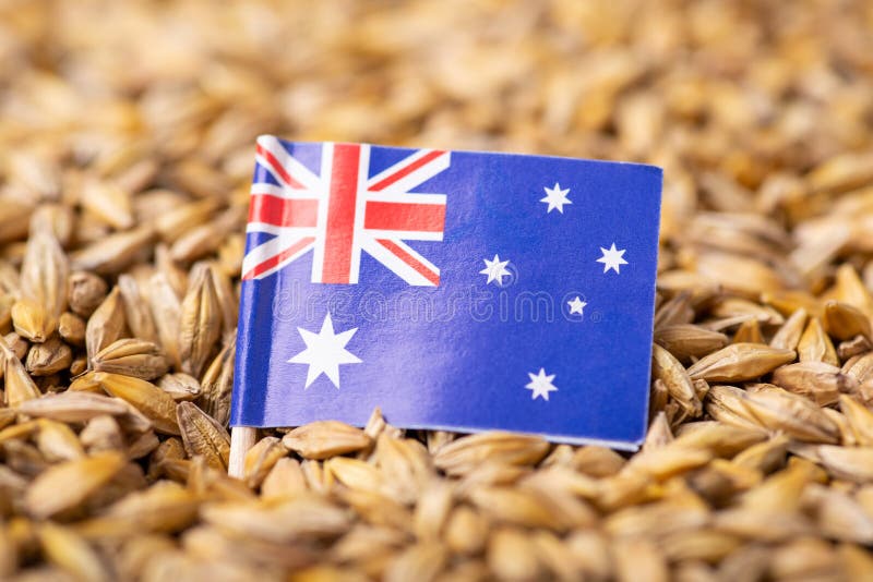 Flag of Australia on Grain of Barley Stock Image - Image of color ...