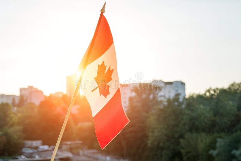 Flag of Canada from window sunset background royalty free stock photos Flag of Canada from window sunset background royalty free stock photos