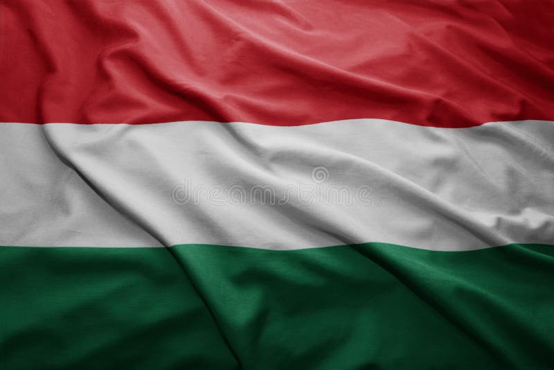 Winken bunt ungarisch flagge.