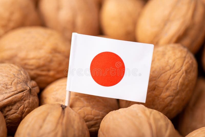 Flag of Japan on walnuts stock photo. Image of healthy 269843470