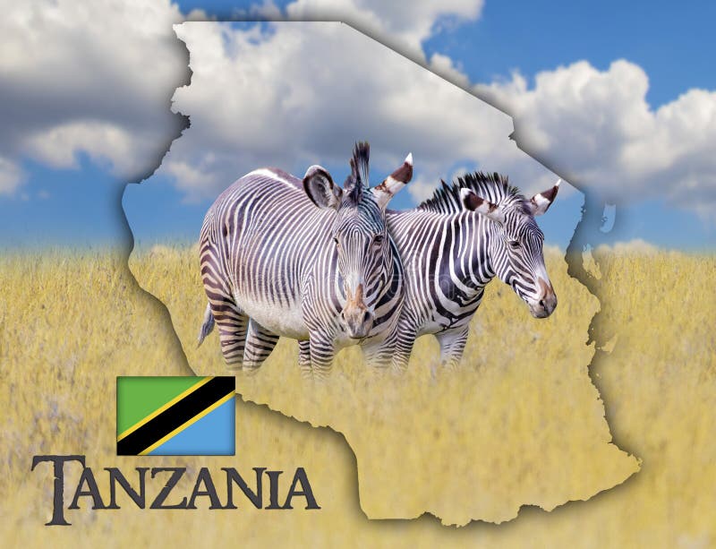 Flag Map of Tanzania on Which is a Picture of a Zebras. it`s a Wild Animal  Living in Africa. it is National African Background Stock Photo - Image of  north, background: 144535216