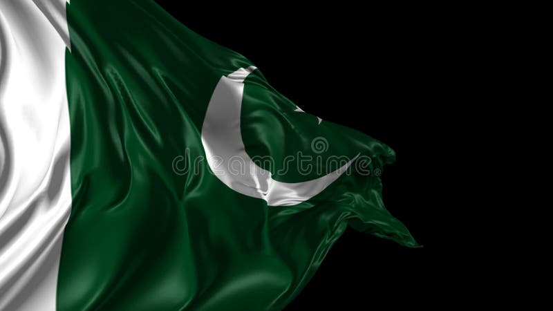 Flag of Pakistan stock footage. Video of full, green - 43332138