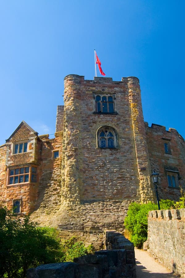 Flag and tower of the castle