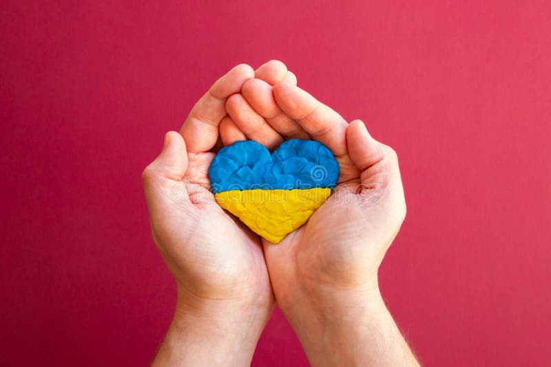 Flag of Ukraine. Heart shape of blue and yellow plasticine modeling clay in male man hands on red background. Ukrainian flag. Concept, love. Top view