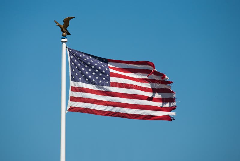 Flag Usa With Golden Eagle Stock Image Image 12742581