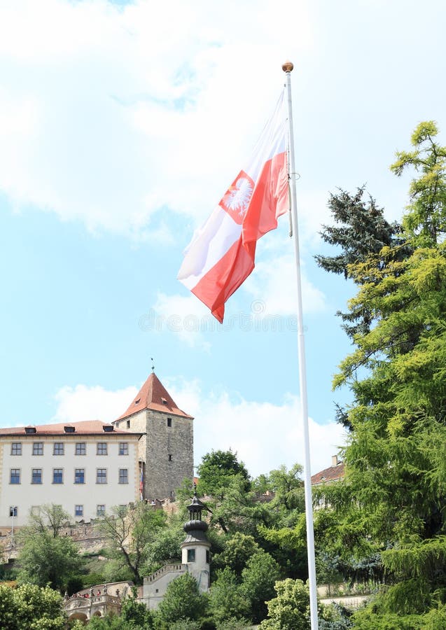 Flaga shine zdjęcia stock