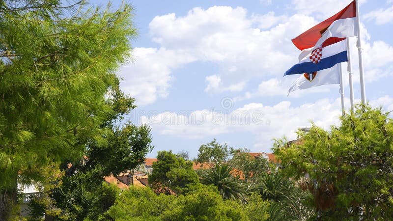Flags stock image Flags stock image