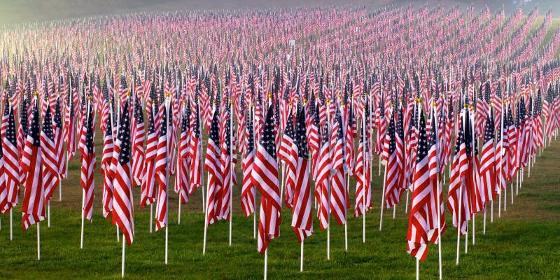 Flags in the Healing Fields for 9/11