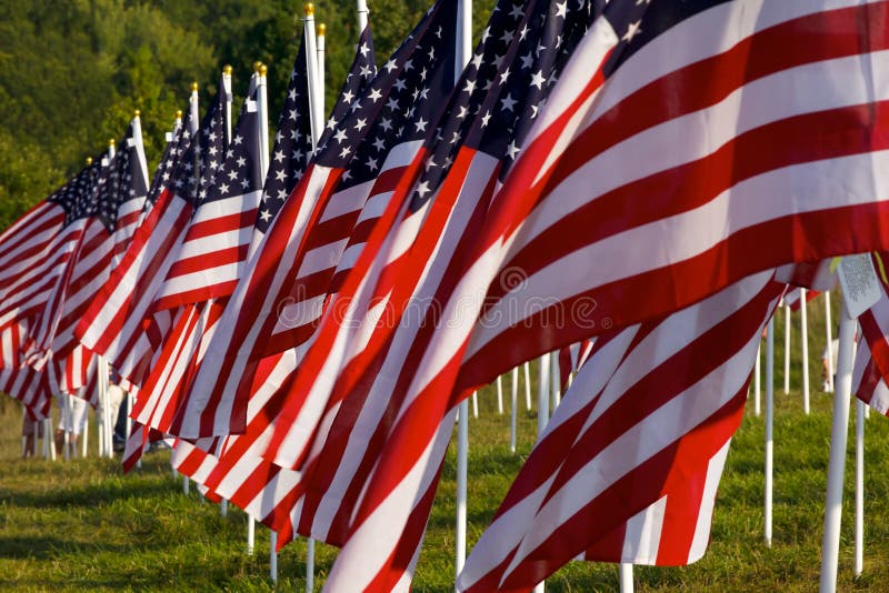 Flags in the Healing Fields for 9/11