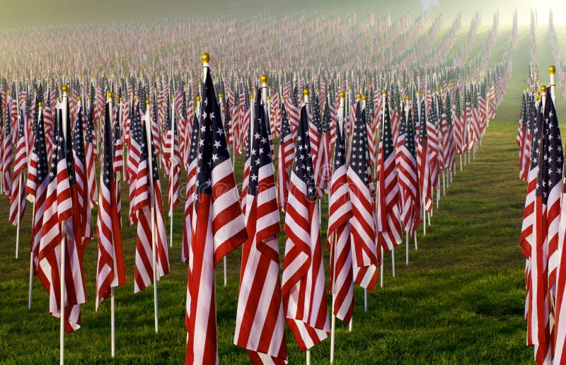 Flags in the Healing Fields for 9/11