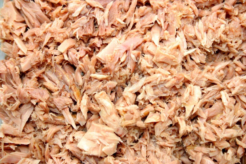 Flaked tuna stock image. Image of texture, abstract, background 5039475