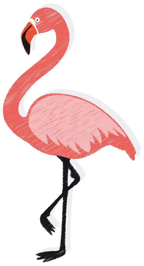 Flamant illustration stock