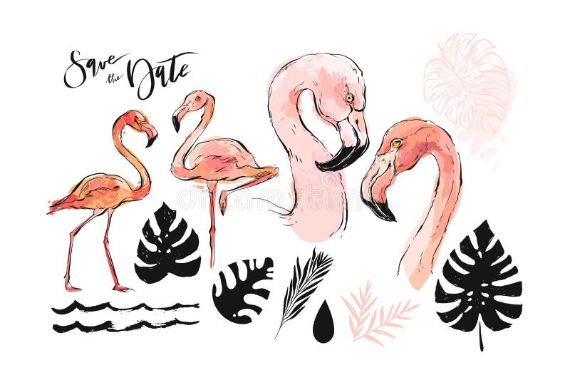 Flamant texturis? ? main lev?e graphique de rose de croquis d'abr?g? sur tir? par la main vecteur et palmettes tropicales dessina illustration stock Flamant texturis? ? main lev?e graphique de rose de croquis d'abr?g? sur tir? par la main vecteur et palmettes tropicales dessina illustration stock
