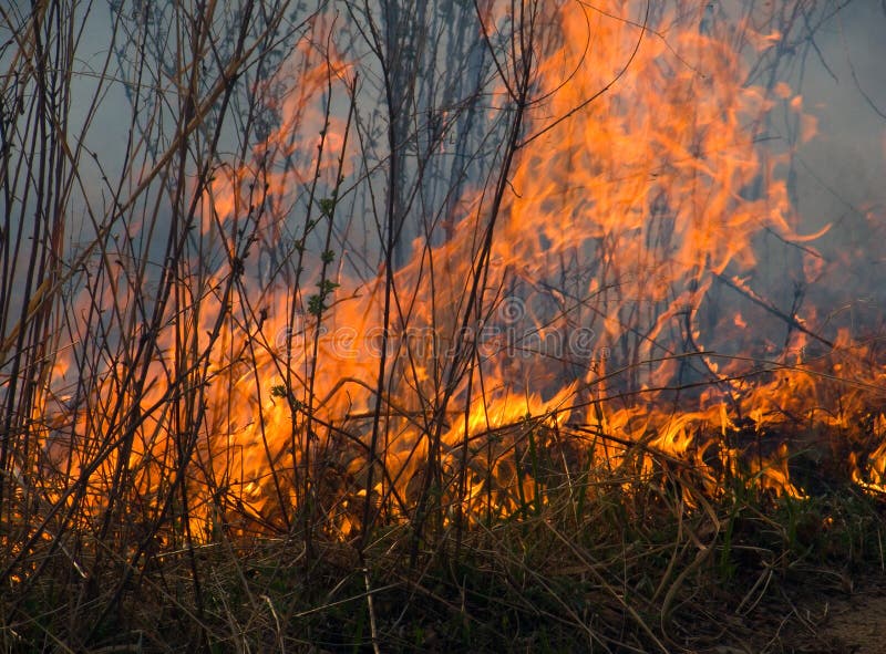 Un pennello di fuoco.