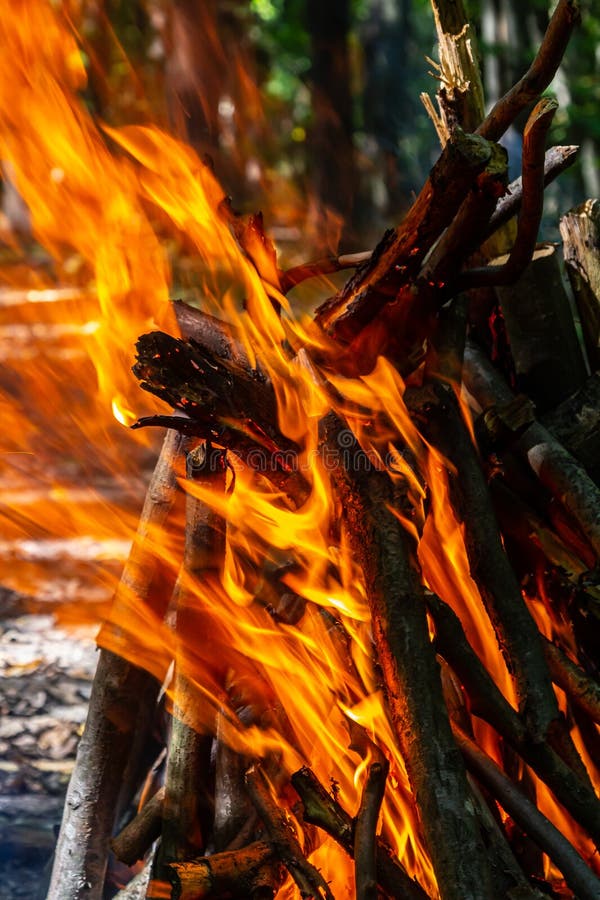 Flame of Charcoal Fire. Hearth for Cooking and Heating Stock Image
