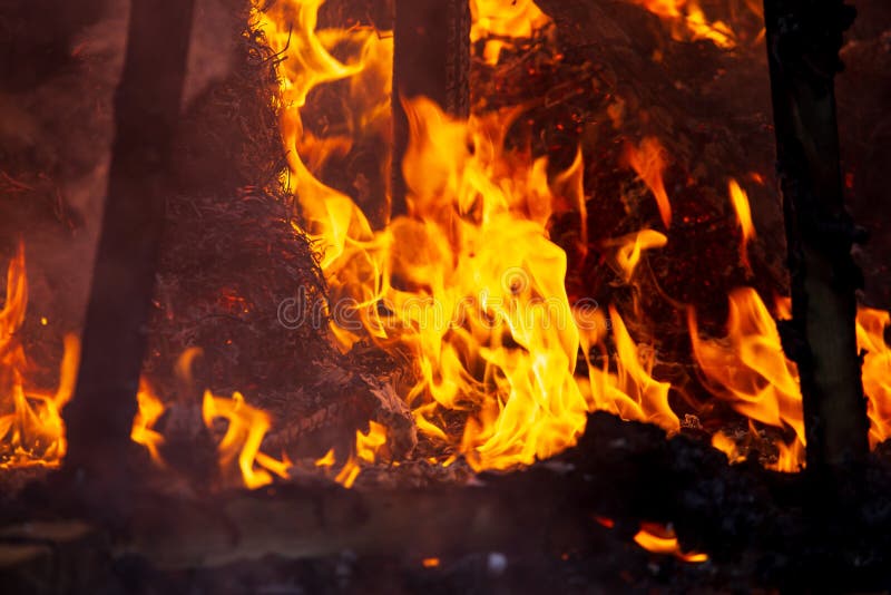 Flame of Fire from a Burning House As an Abstract Background Stock