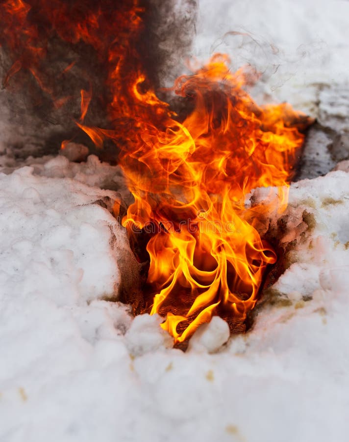 Flame of Fire on White Snow in Winter Stock Photo Image of snow