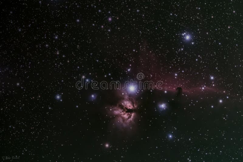 Flame and Horse Head Nebula Stock Image Image of earth, dark 268077953