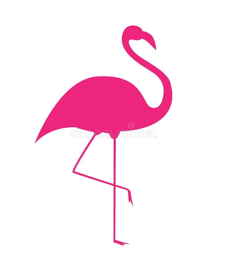 Flamenco colorido del rosa de la historieta en soportes de una pierna en el fondo blanco Ilustraci? n ilustración del vector