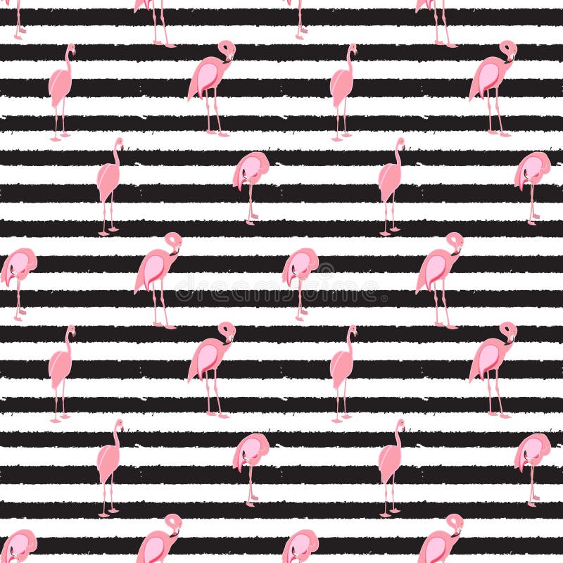 Flamenco rosado colorido aislado en el fondo blanco stock de ilustración