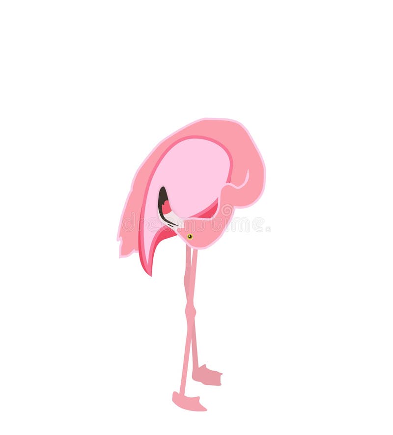 Flamenco rosado colorido aislado en el fondo blanco Ilustración del vector EPS10