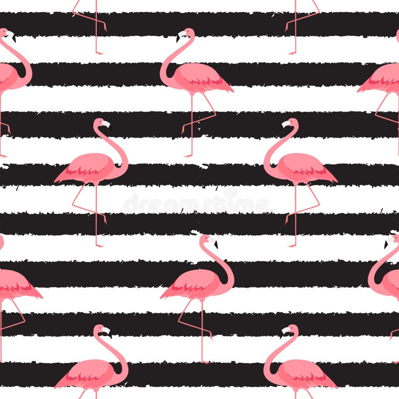 Flamenco rosado colorido aislado en el fondo blanco Modelo incons? til Ilustraci? n libre illustration
