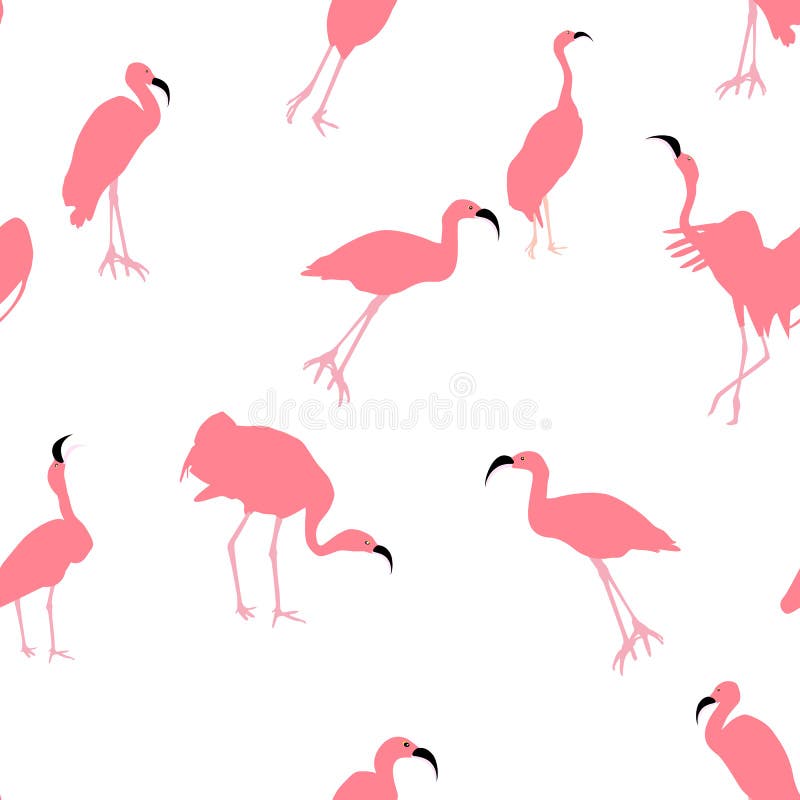 Flamenco rosado colorido aislado en el fondo blanco Modelo inconsútil Ilustración del vector libre illustration