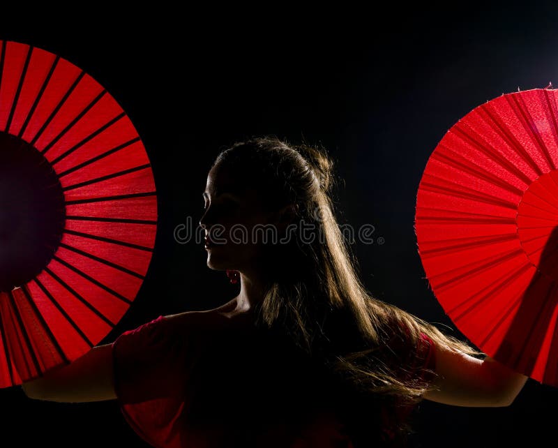 Flamencokonstnär royaltyfria bilder Flamencokonstnär royaltyfria bilder