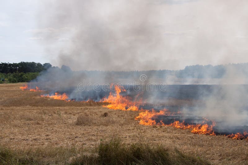 Flames of a Field Fire stock photo. Image of famine, brand 16940762