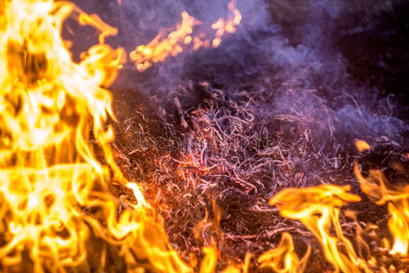 The Flames of the Fire Burning the Herb Stock Photo - Image of abstract ...