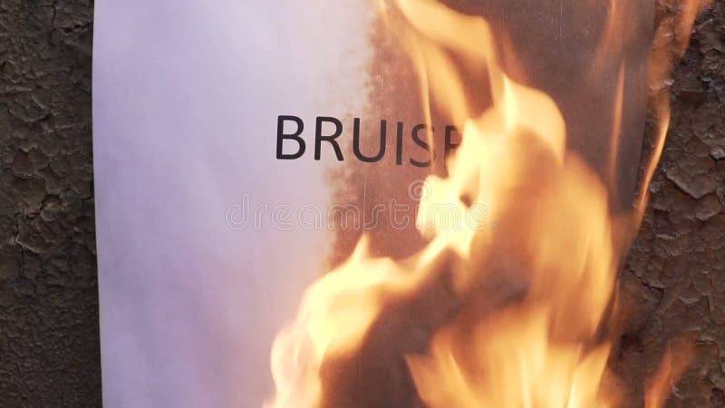 Flaming word bruise