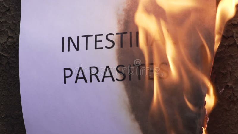 Flaming word intestinal parasites