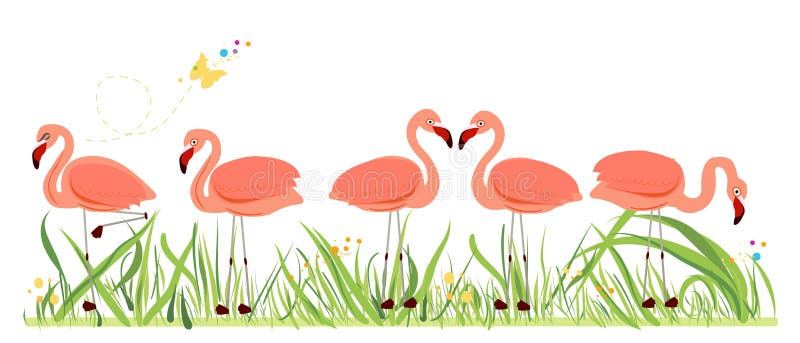 Flamingi Egzotyczny ptasi wektor Set różowi flamingi Egzotyczni ptaki w różnych pozach royalty ilustracja