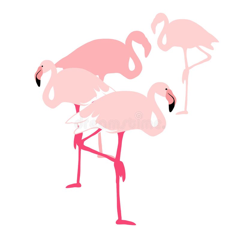 Flamingo royalty free illustration