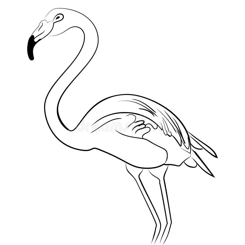 Flamingo Bird Black White Sketch Stock Vector - Illustration of black,  cartoon: 92862091