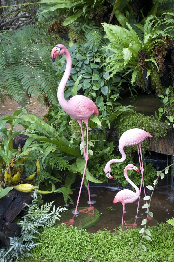 Flamingo bird model stock photography