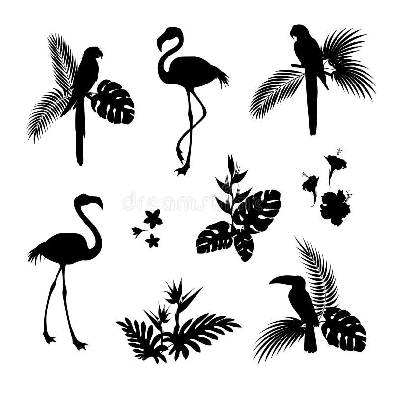 Flamingo bird and Parrot bird black silhouettes. The leaves of the Palm trees and tropical flowers black silhouette. Vector illustration isolated circuit vector illustration Flamingo bird and Parrot bird black silhouettes. The leaves of the Palm trees and tropical flowers black silhouette. Vector illustration isolated circuit vector illustration