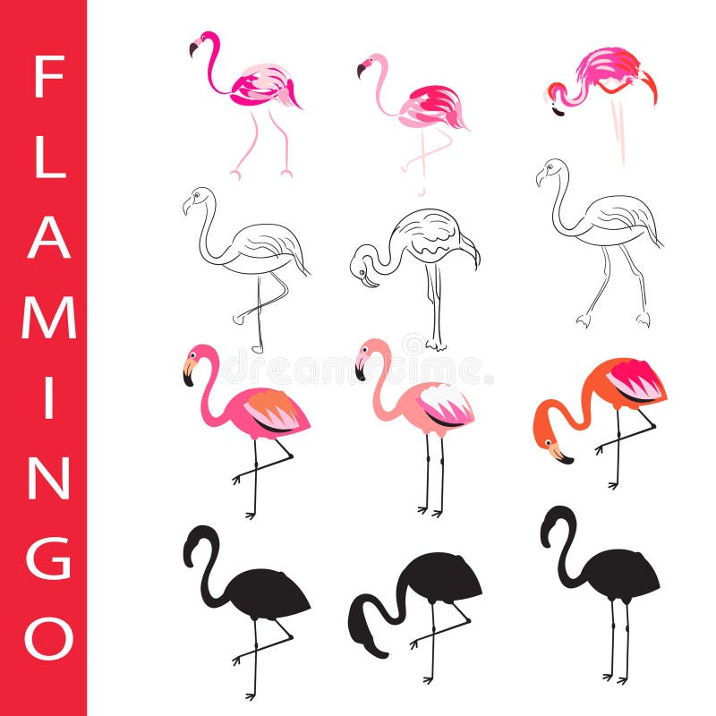 Flamingo birds vector set. Cartoon, outline and silhouette. vector illustration
