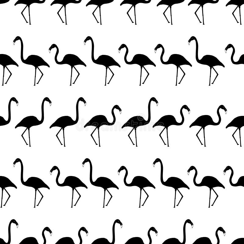 Flamingo black shadows silhouette in lines pattern royalty free illustration