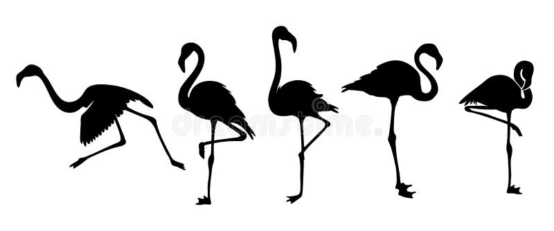 Flamingo black silhouette stock illustration