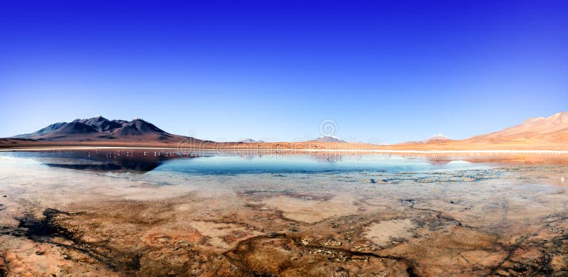 Laguna at the Ruta de las Joyas altoandinas in Bolivia with pink flamingos fishing in the lake. Laguna at the Ruta de las Joyas altoandinas in Bolivia with pink flamingos fishing in the lake.