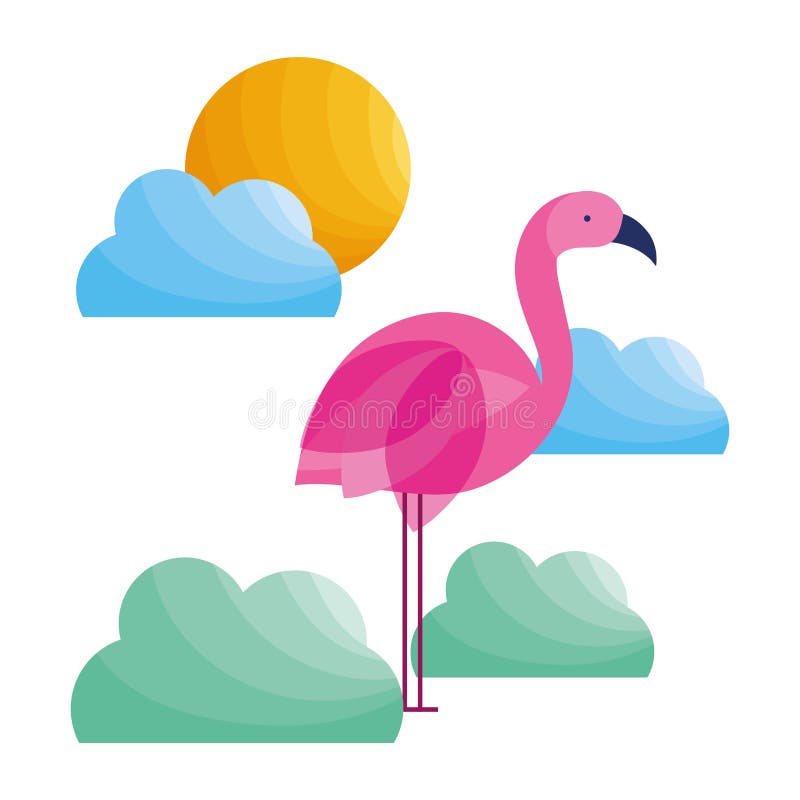 Flamingo clouds sun tropical bird feather