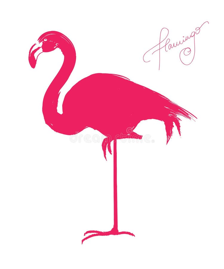 Flamingo cor-de-rosa ilustração royalty free
