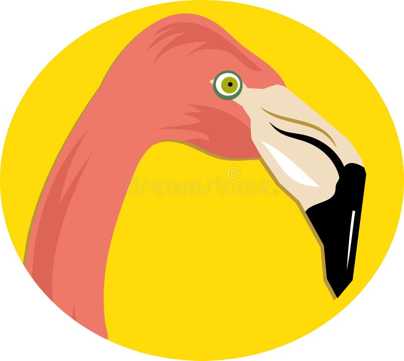 Flamingo cor-de-rosa ilustração royalty free