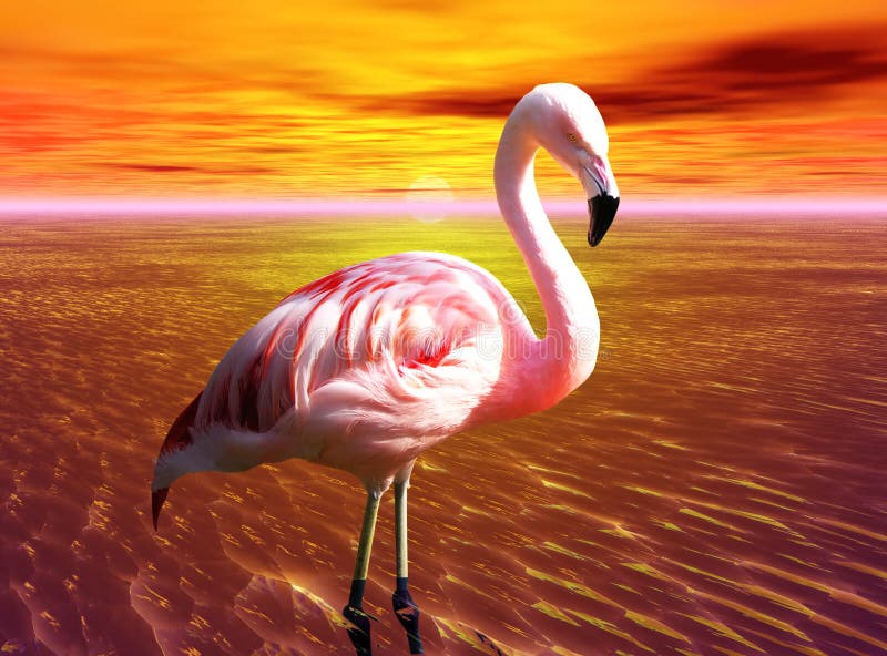 Flamingo cor-de-rosa ilustração royalty free