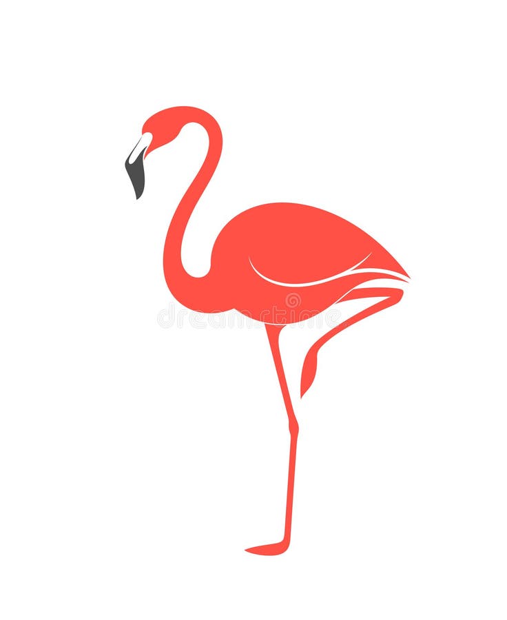 Flamingo cor-de-rosa ilustração stock