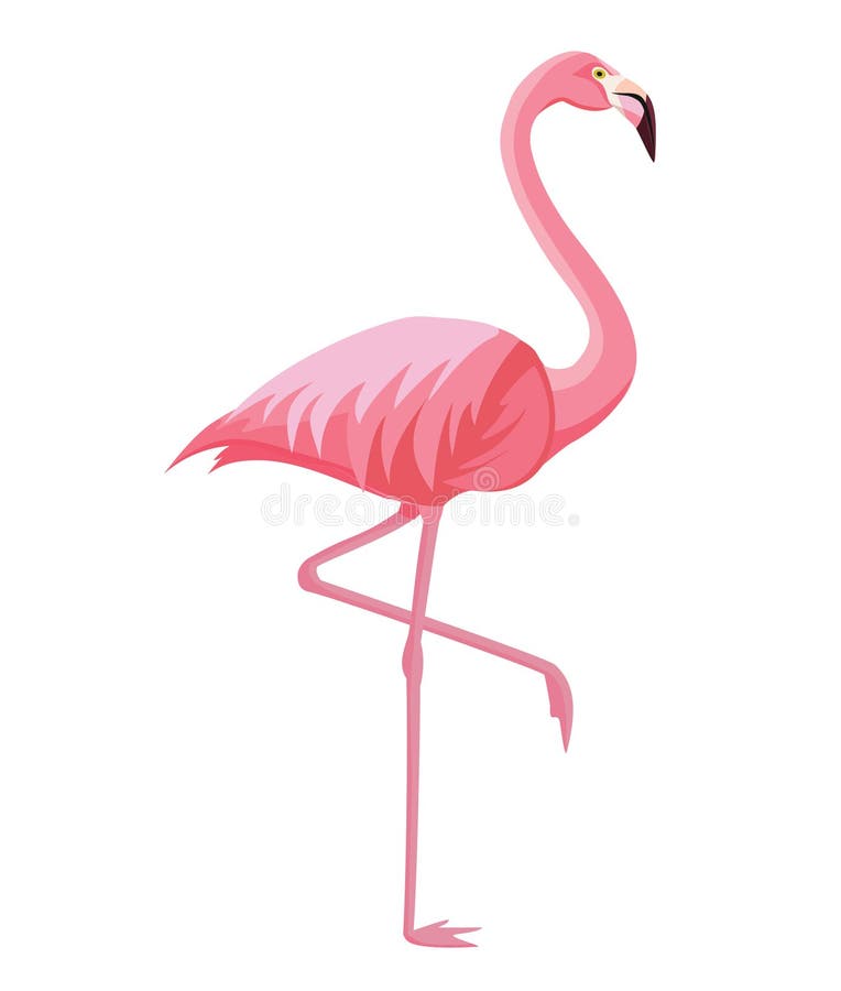 Flamingo cor-de-rosa em um fundo branco ilustração do vetor
