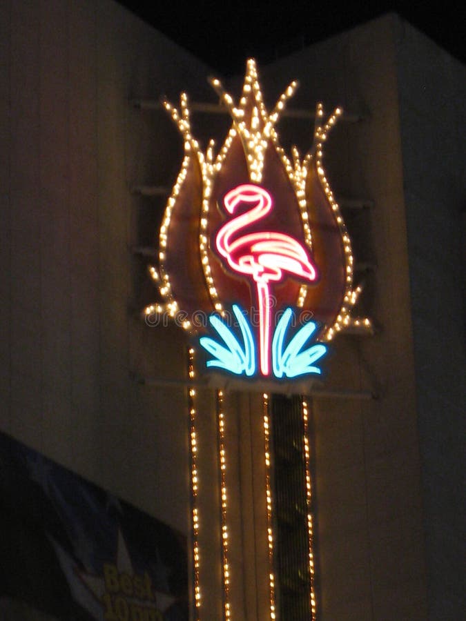 The Pink Flamingo at night time in Las Vegas along the Strip. The Pink Flamingo at night time in Las Vegas along the Strip